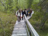 Kuusmossa 2006..